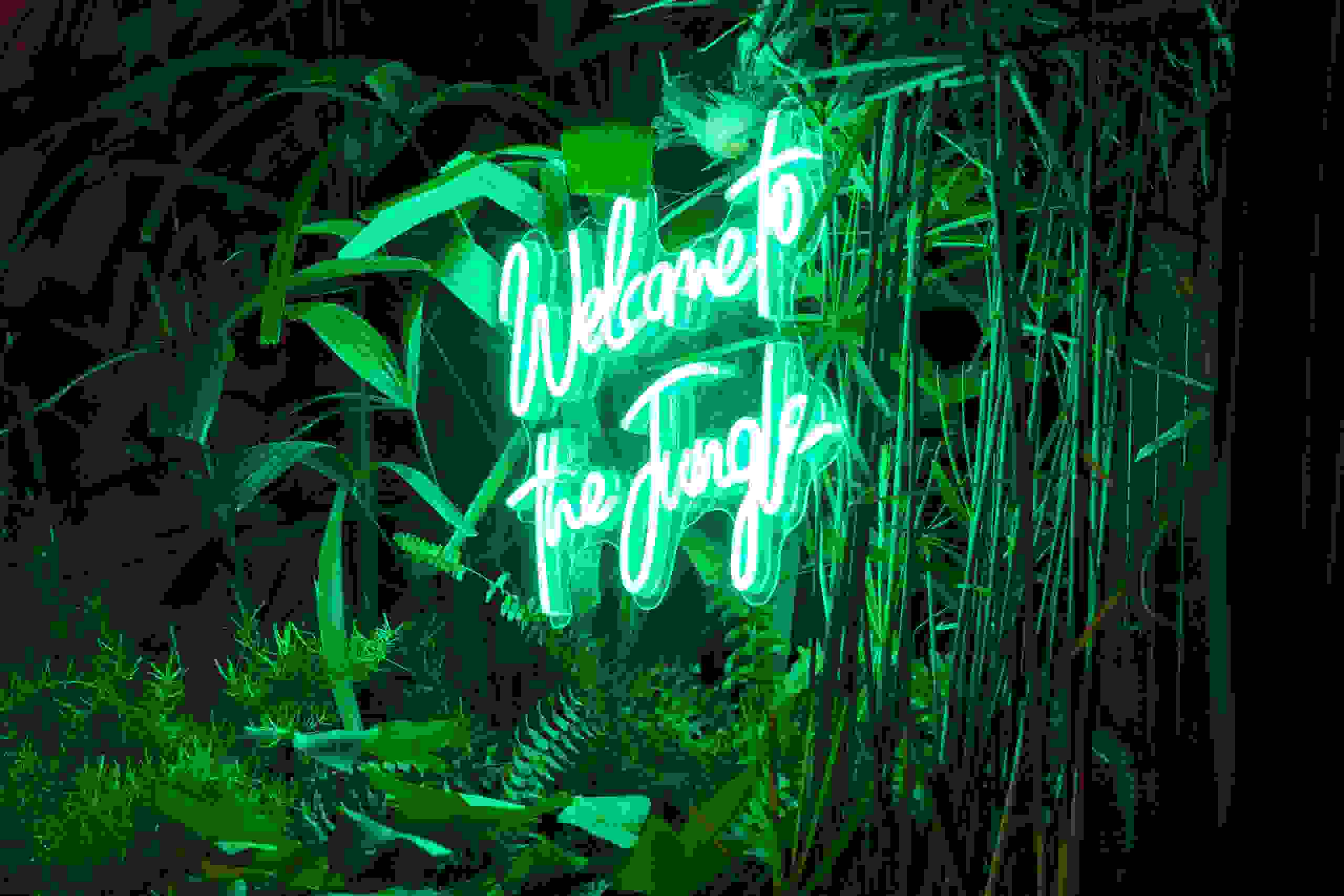 Neon-Schriftzug „Welcome to the Jungle“ umgeben von tropischen Pflanzen – Eventdekoration, Bühnendesign, Unfold 2024 Business-Event. Corporate Event, Eventbühne, Eventdesign, grüne Lichtstimmung, Dschungel Deko, Business Event, live kommunikation, Eventagentur bern, eventplanung, firmenevents, teamevents bern, jubiläumsfeier, networking anlass, mitarbeiter:innenanlass, Technik, Public Events, Sport und Entertainment Events, markenerlebnis, Brand Experience