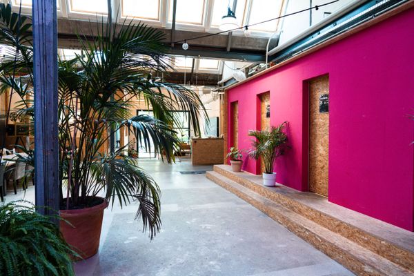 Moderner Büroflur mit pinker Wand und Pflanzen bei evenjo. Teamevent, Betriebsausflug, Markenerlebnis, Brand Experience, Eventplanung, Publicevent, Eventagentur Bern, Corporate-Event, Mitarbeiteranlass, Mitarbeiter:innen-Anlass, Live Kommunikation, networking Anlass, Teambuilding, Teamspirit, kreative Arbeitsumgebung, einladende Büroatmosphäre, kreative Agentur, Kreativworkshops, Eventlogistik, kreative Arbeitsräume.