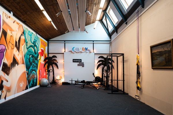 Trainings- und Workshopraum mit Palmen-Deko und Sportgeräten bei evenjo. Teamevent, Betriebsausflug, Markenerlebnis, Brand Experience, Eventplanung, Publicevent, Eventagentur Bern, Corporate-Event, Mitarbeiteranlass, Mitarbeiter:innen-Anlass, Live Kommunikation, networking Anlass, Teambuilding, Teamspirit, kreative Arbeitsumgebung, einladende Büroatmosphäre, kreative Agentur, Kreativworkshops, Eventlogistik, kreative Arbeitsräume.
