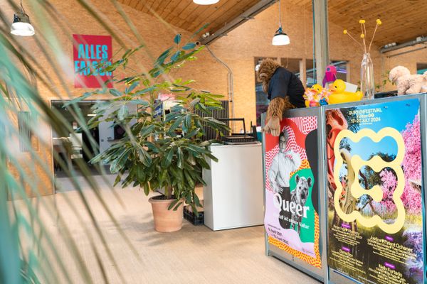 Kreativ gestalteter Bürobereich mit Plakaten und Pflanzen bei evenjo. Teamevent, Betriebsausflug, Markenerlebnis, Brand Experience, Eventplanung, Publicevent, Eventagentur Bern, Corporate-Event, Mitarbeiteranlass, Mitarbeiter:innen-Anlass, Live Kommunikation, networking Anlass, Teambuilding, Teamspirit, kreative Arbeitsumgebung, einladende Büroatmosphäre, kreative Agentur, Kreativworkshops, Eventlogistik, kreative Arbeitsräume.