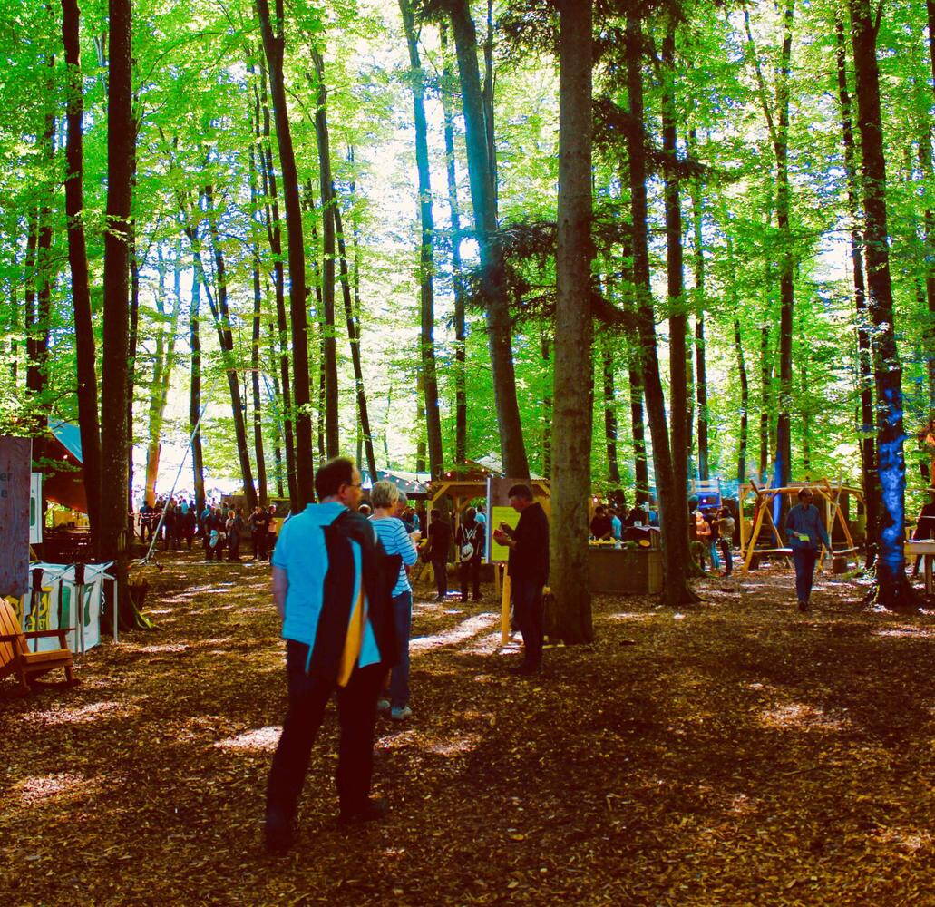 evenjo_mitarbeiterinnenevent_bkw_wald.jpeg Besucher:innen erkunden das XPLORE Event im Wald – Natur trifft auf Erlebniswelten. markenerlebnis, Brand Experience, mitarbeiteranlass, live kommunikation, Corporate-Event, eventagentur bern, BKW, XPLORE, Outdoor Event, Markenerlebnis, eventplanung, jubiläumsfeier, mitarbeiteranlass